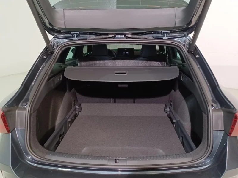 Imagen de cupra León