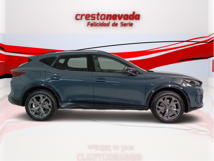 Imagen de cupra Formentor