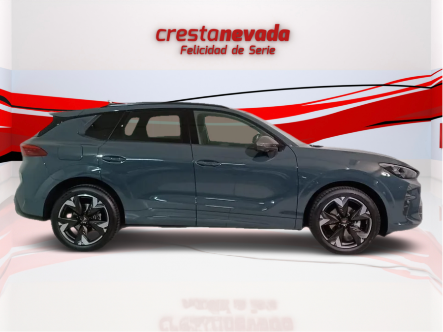 Imagen de cupra Terramar
