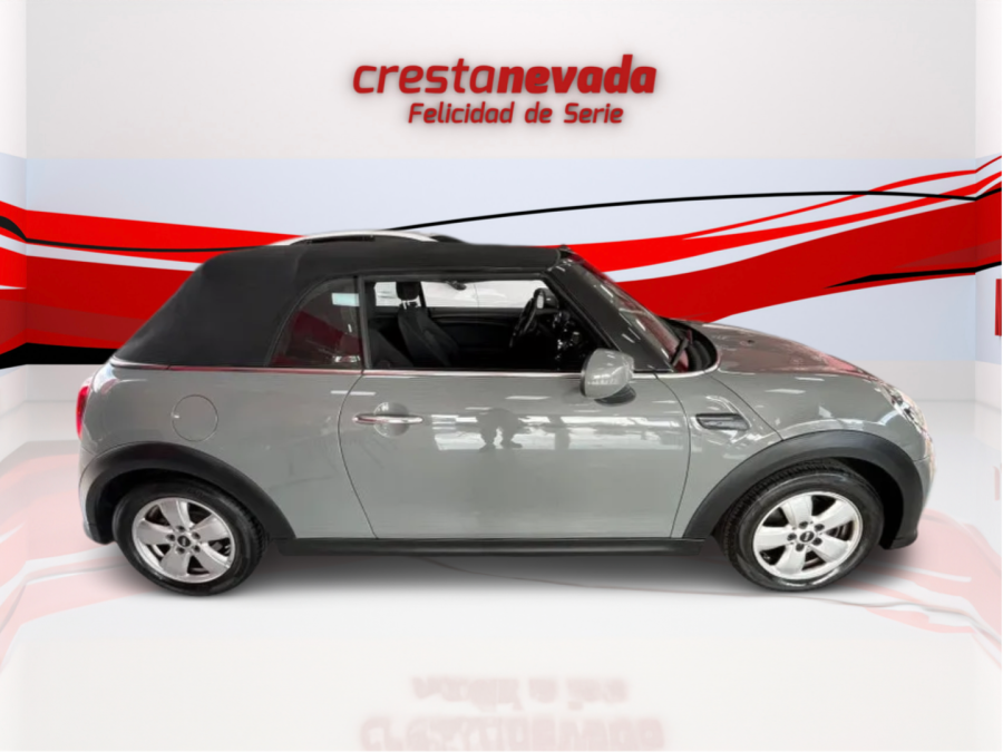 Imagen de Mini MINI