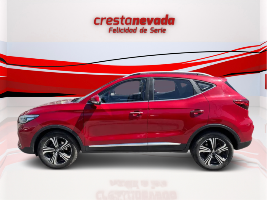 Imagen de Mg ZS