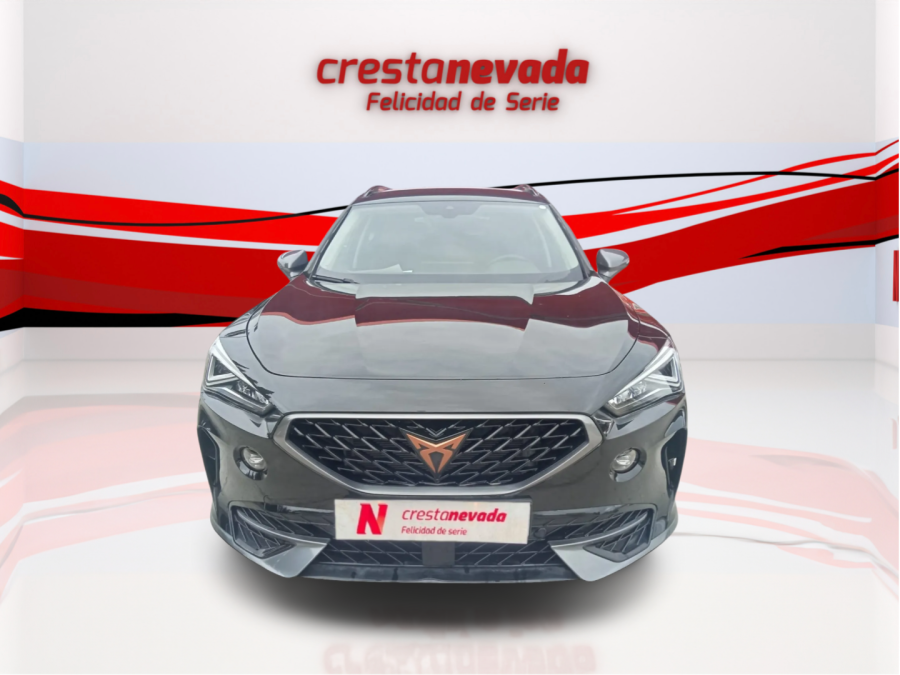 Imagen de cupra Formentor