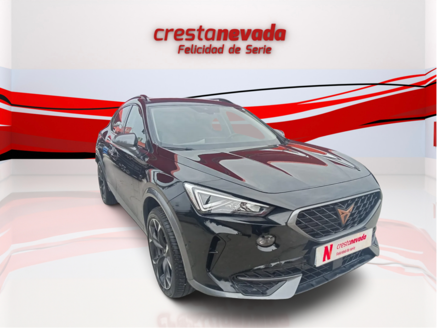 Imagen de cupra Formentor