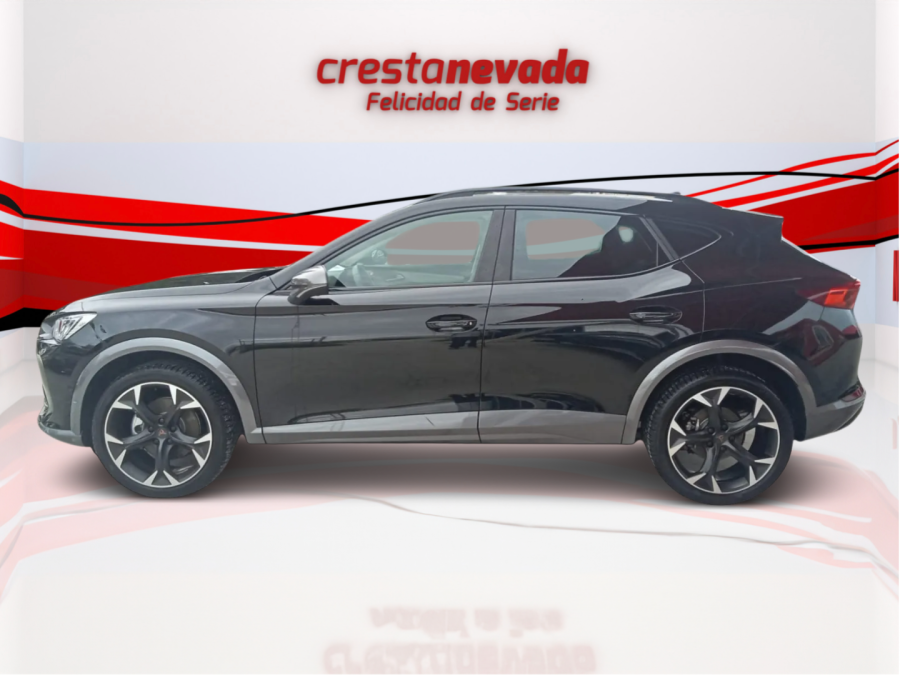Imagen de cupra Formentor