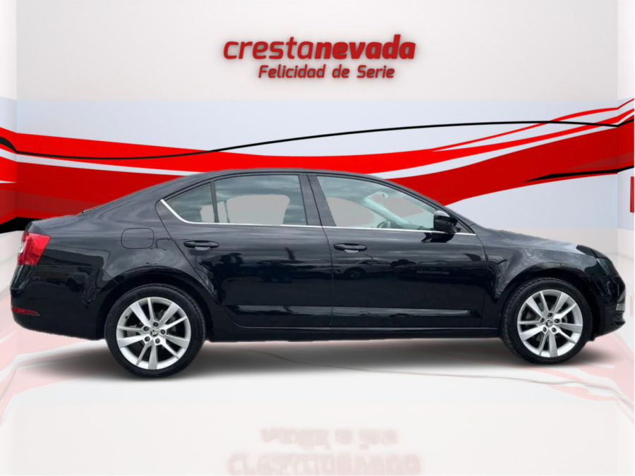 Imagen de Skoda Octavia
