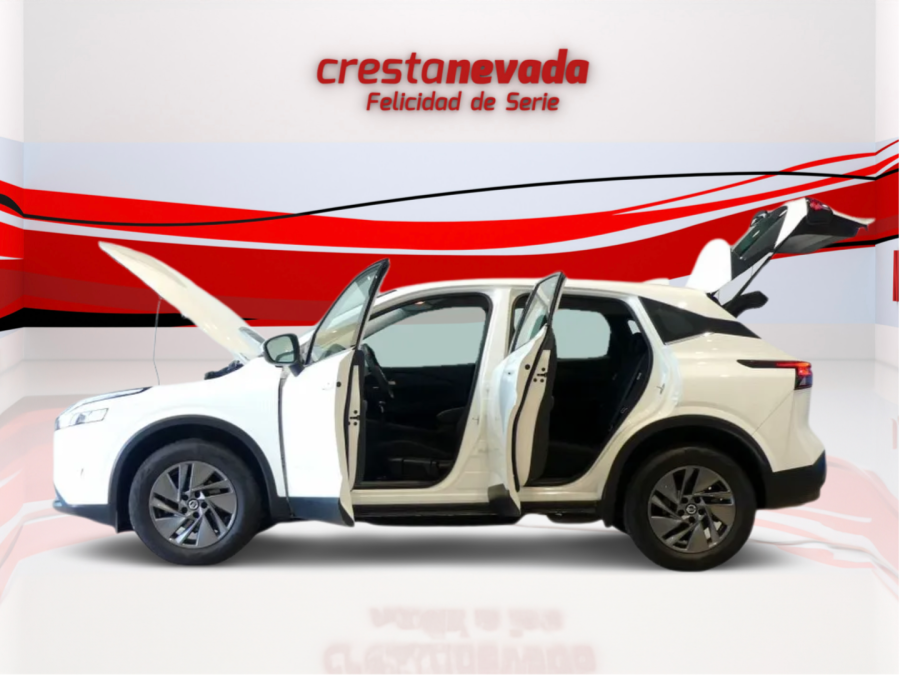 Imagen de NISSAN QASHQAI
