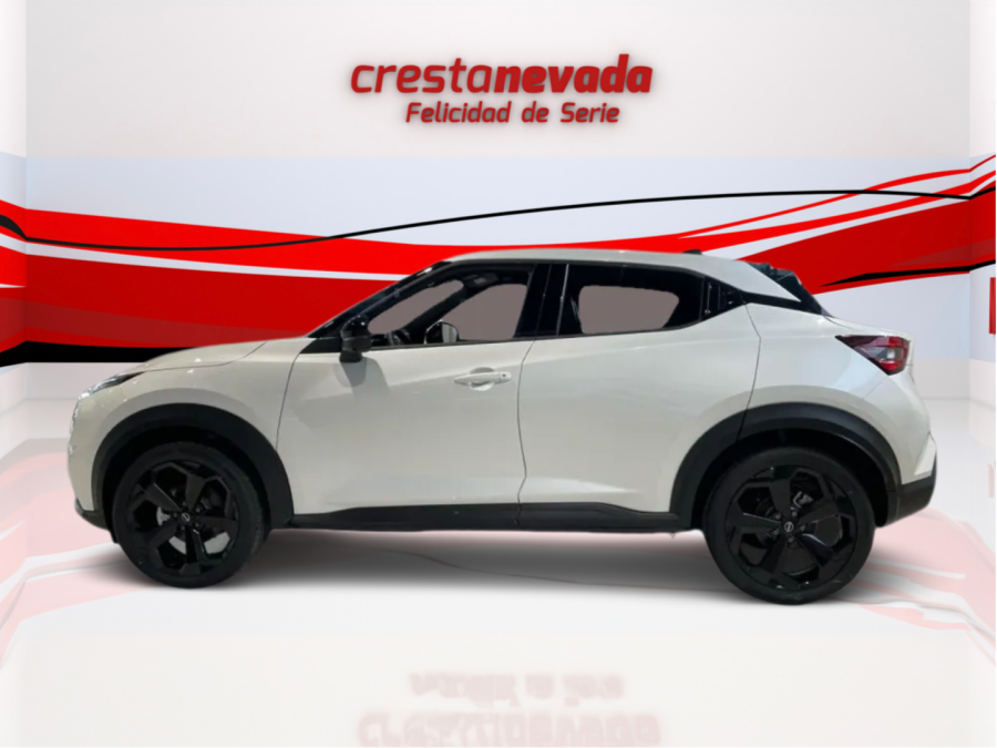 Imagen de NISSAN JUKE