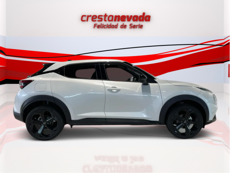 Imagen de NISSAN JUKE
