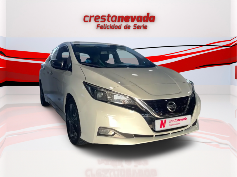 Imagen de NISSAN LEAF