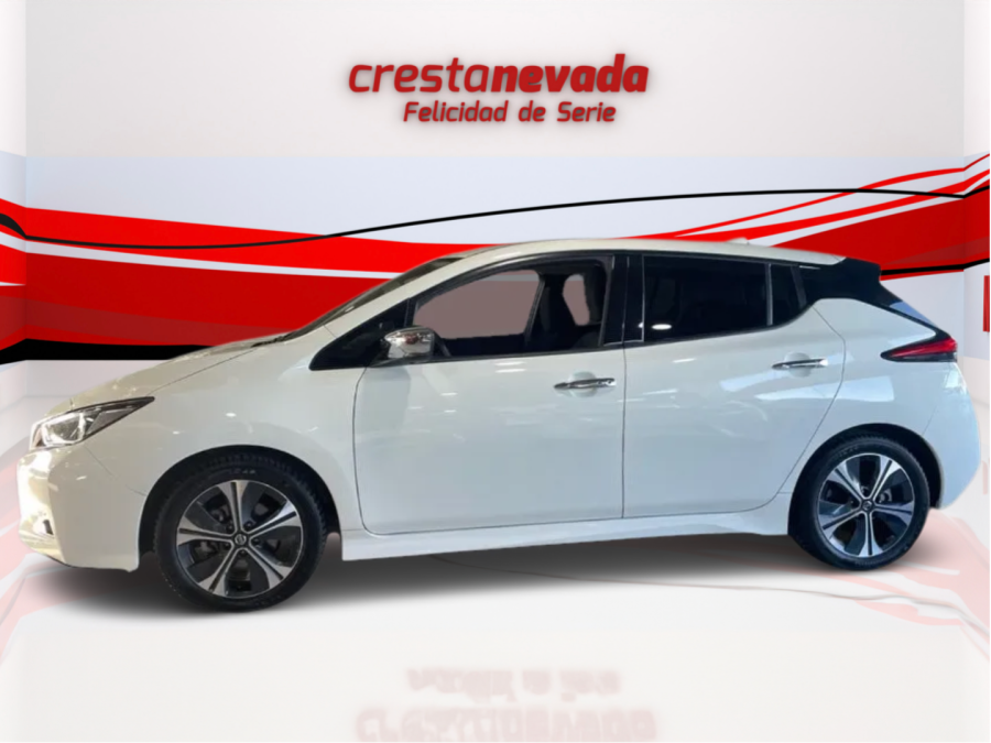 Imagen de NISSAN LEAF