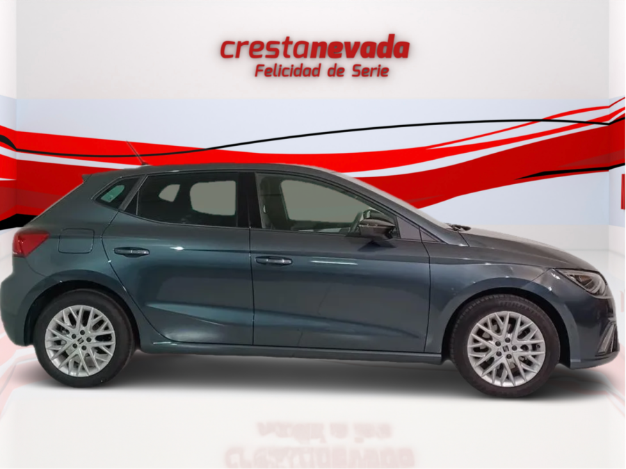 Imagen de SEAT Ibiza