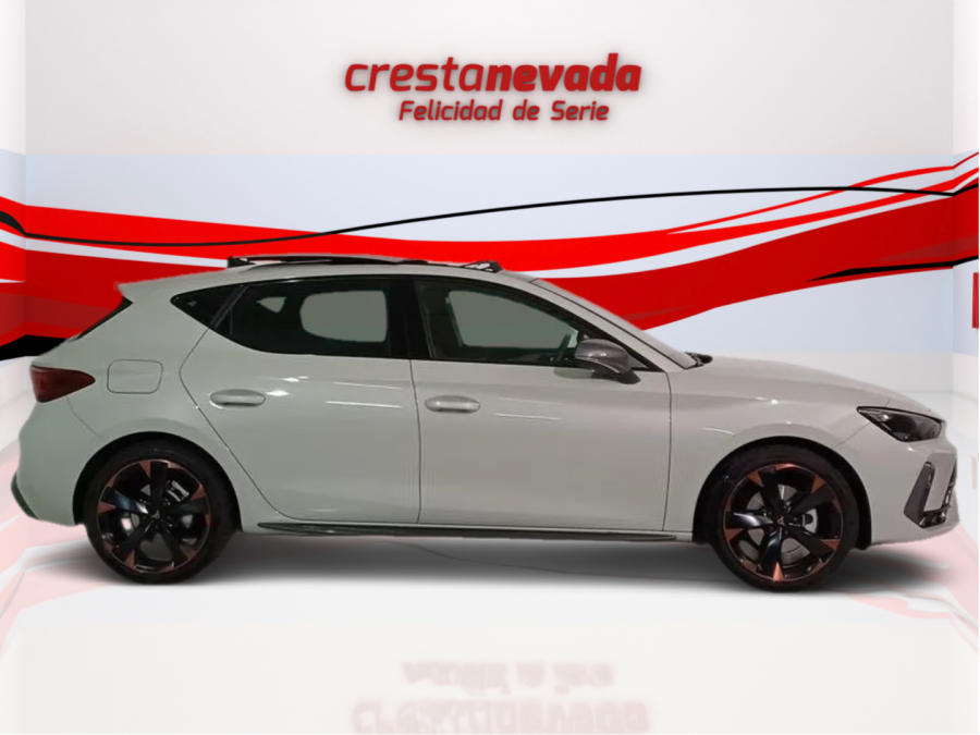 Imagen de cupra León