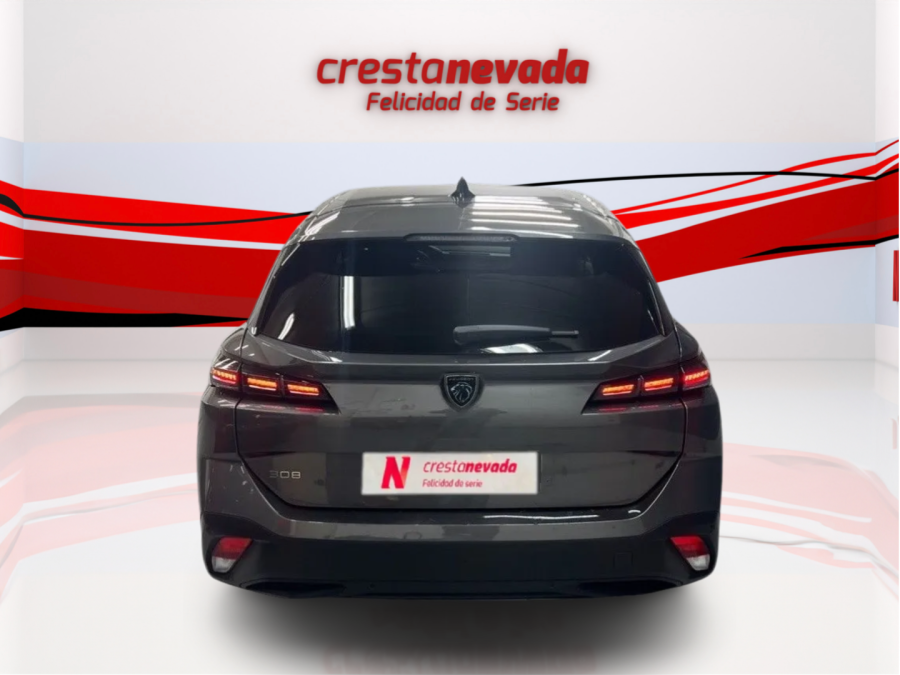 Imagen de Peugeot 308