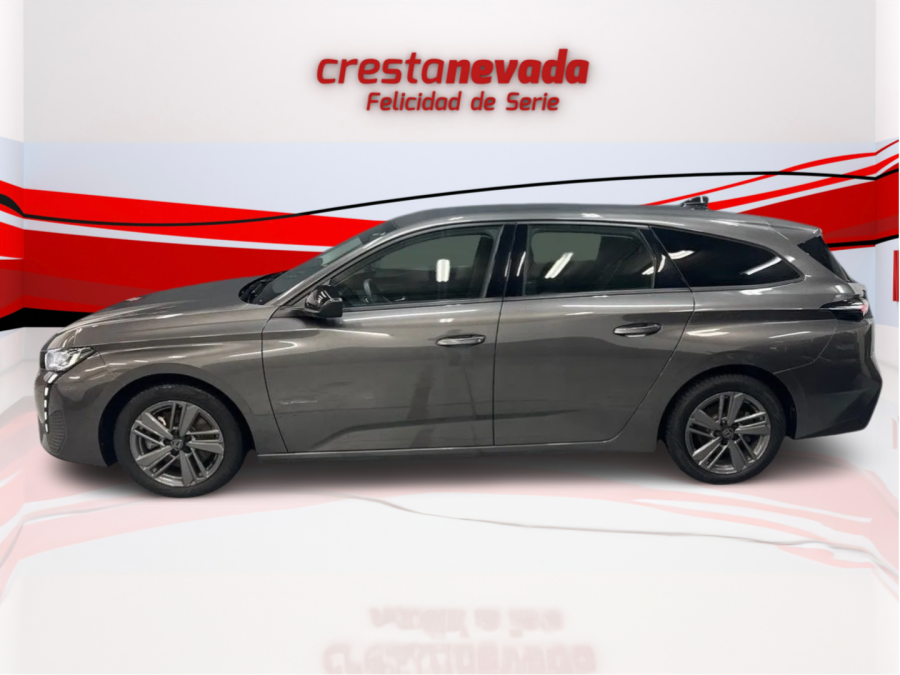 Imagen de Peugeot 308