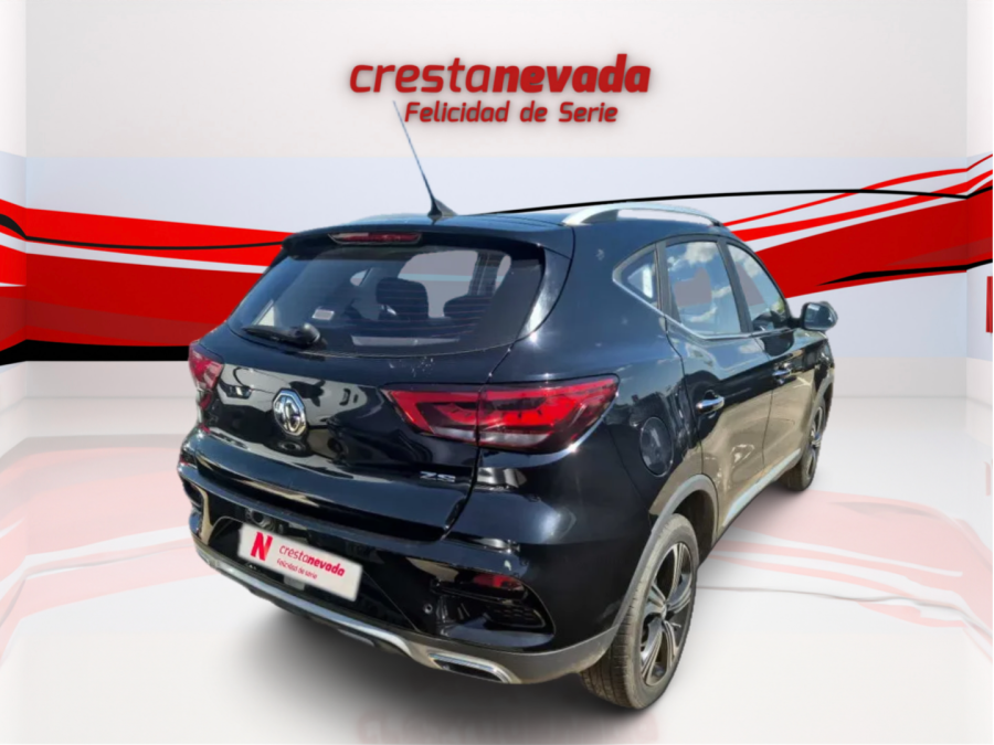 Imagen de Mg ZS