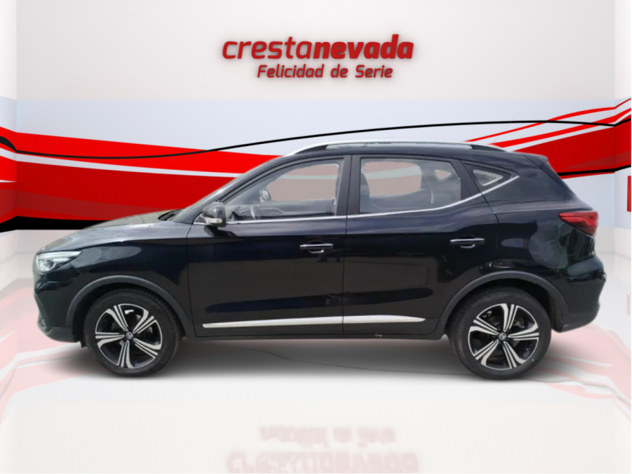 Imagen de Mg ZS