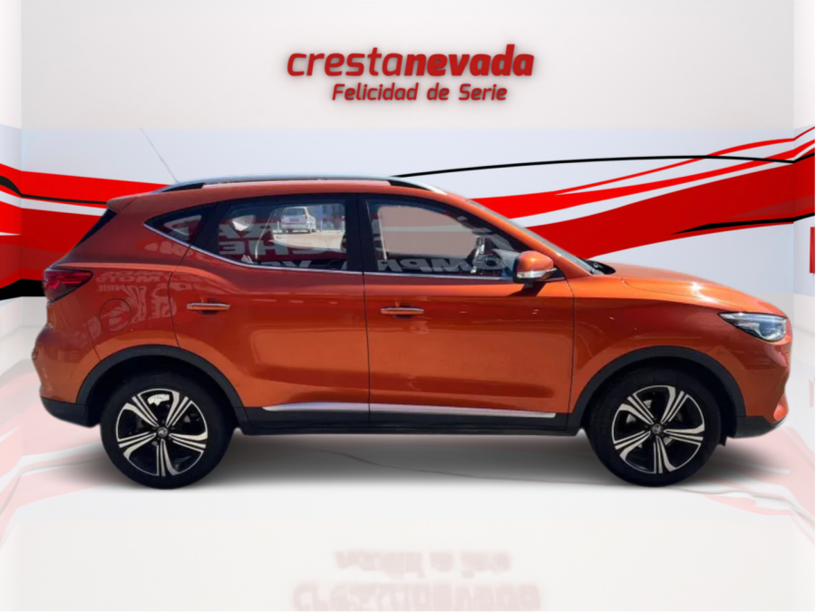 Imagen de Mg ZS