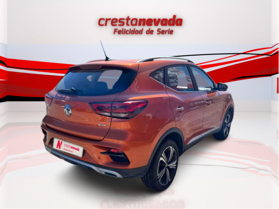 Imagen de Mg ZS