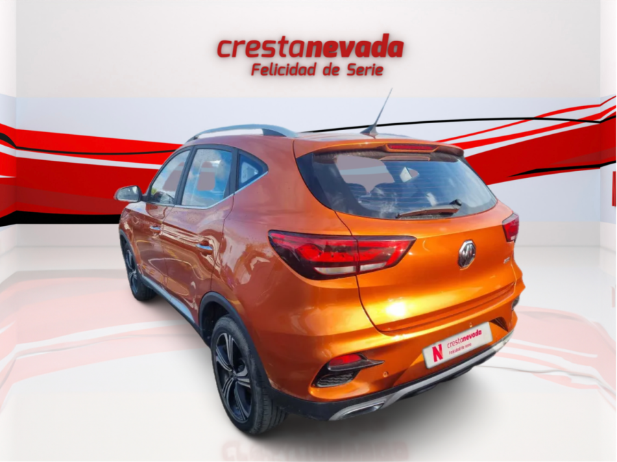 Imagen de Mg ZS