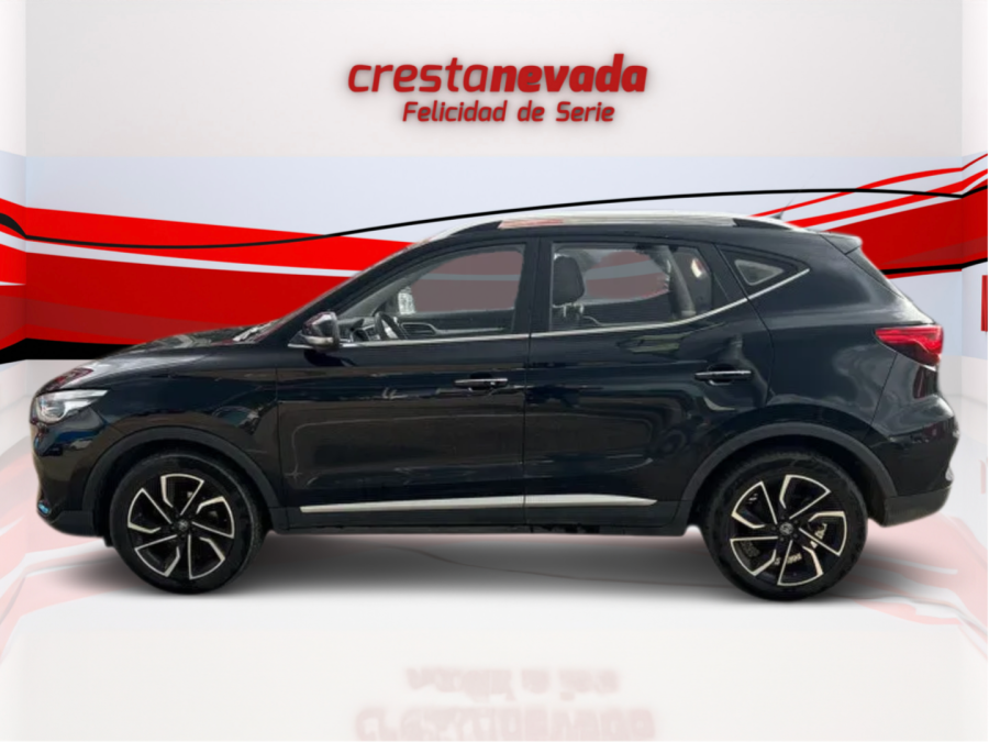 Imagen de Mg ZS