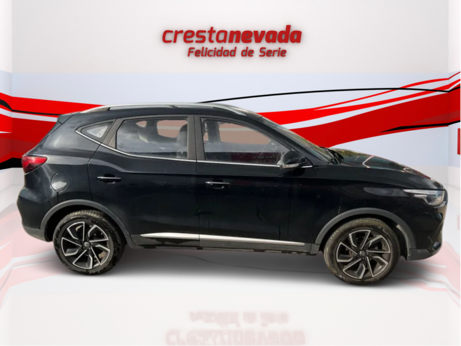 Imagen de Mg ZS