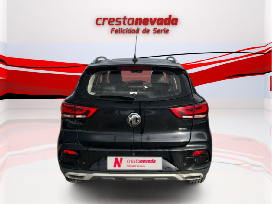 Imagen de Mg ZS