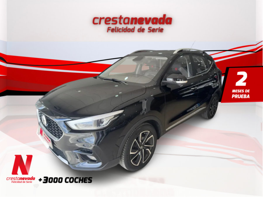 Imagen de Mg ZS