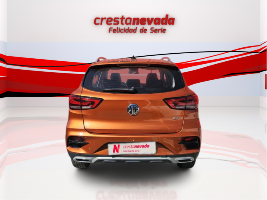 Imagen de Mg ZS
