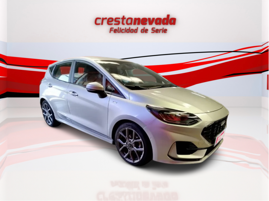 Imagen de Ford Fiesta