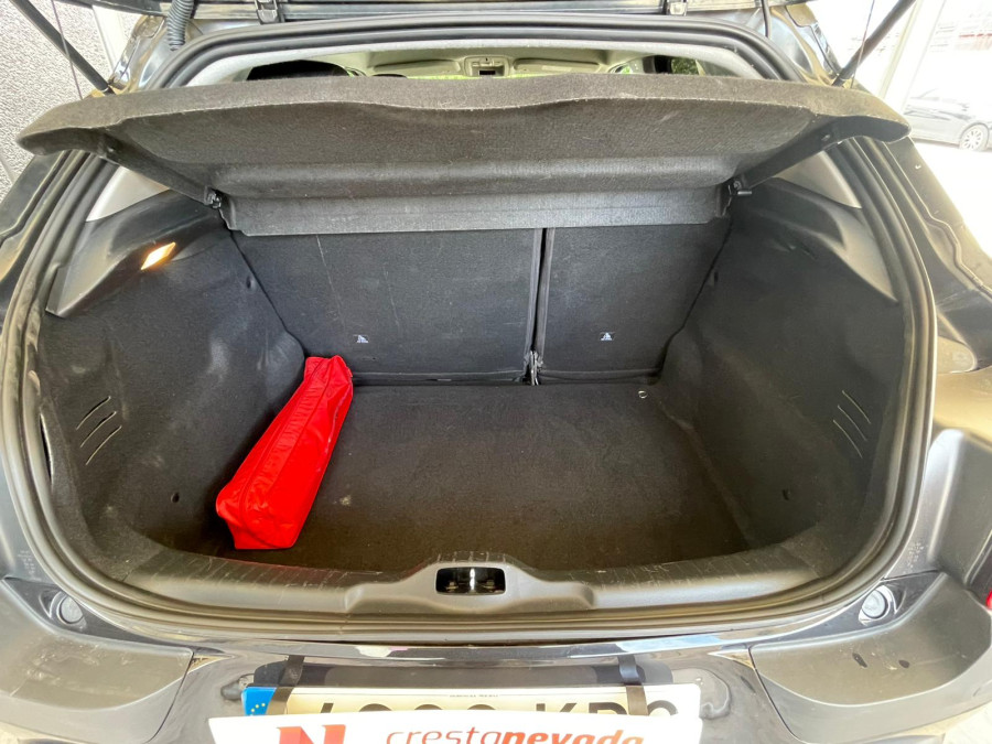 Imagen de CITROEN C4 Cactus