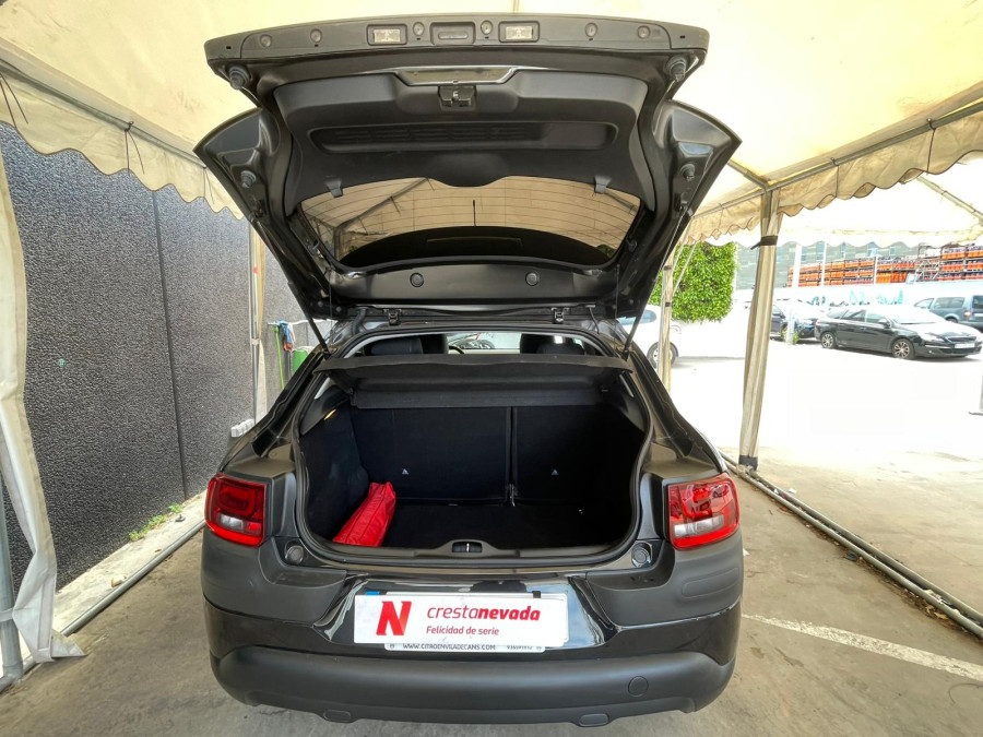 Imagen de CITROEN C4 Cactus