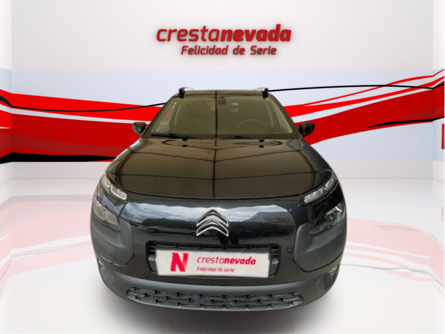 Imagen de CITROEN C4 Cactus
