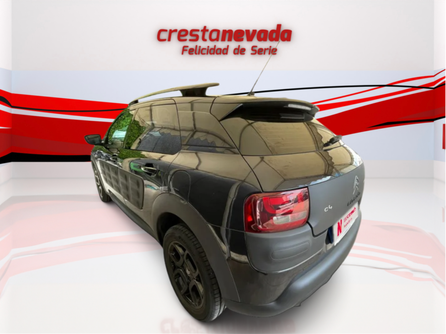 Imagen de CITROEN C4 Cactus