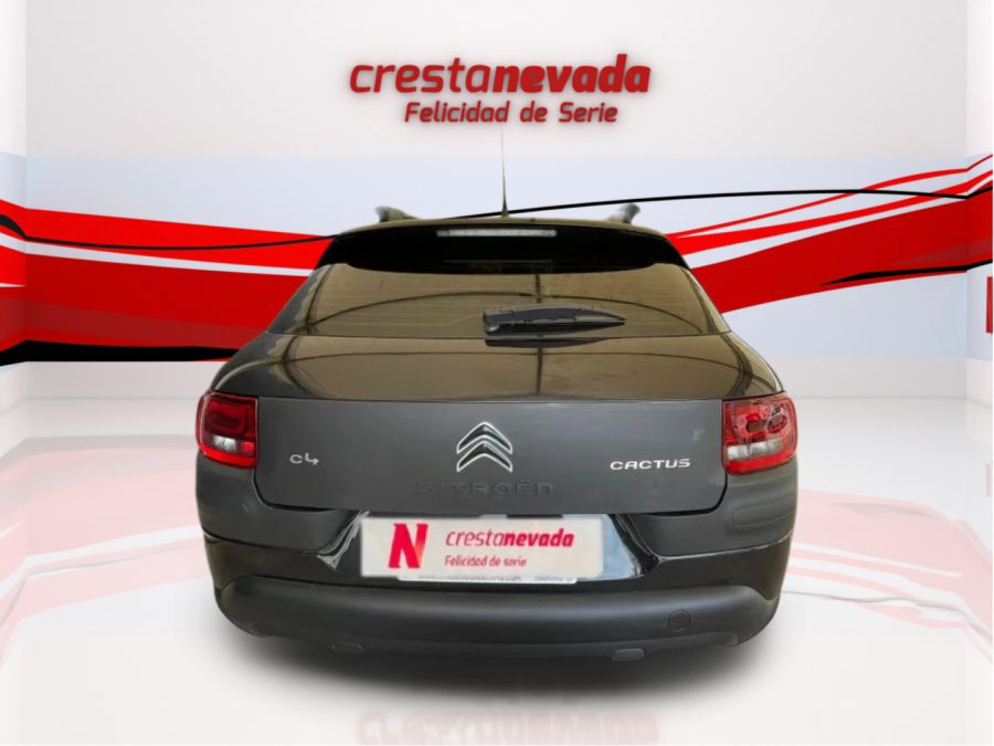 Imagen de CITROEN C4 Cactus
