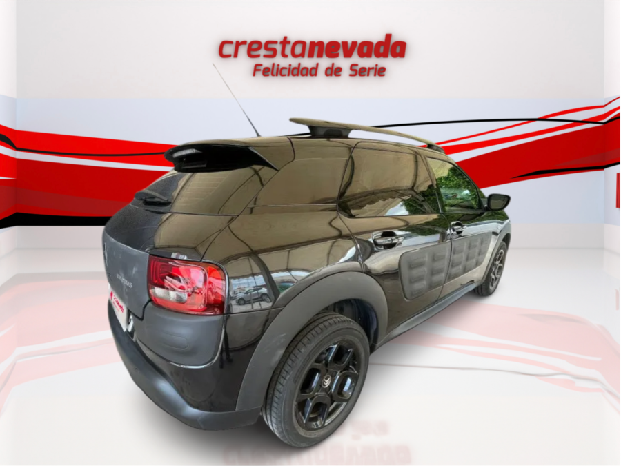 Imagen de CITROEN C4 Cactus