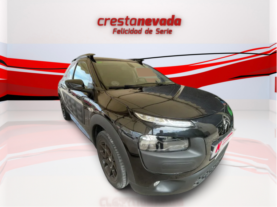 Imagen de CITROEN C4 Cactus