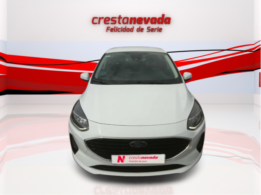 Imagen de Ford Fiesta
