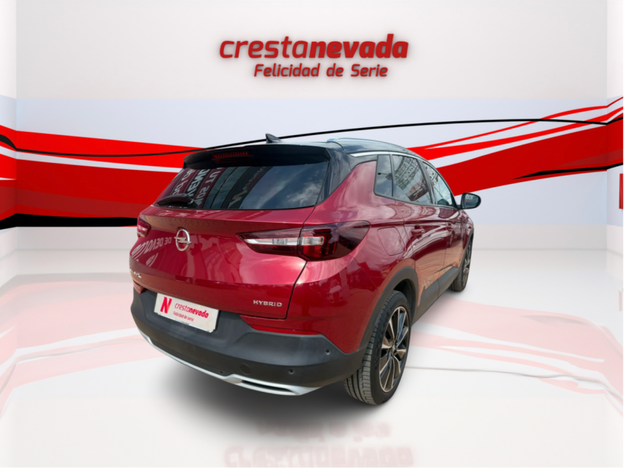 Imagen de Opel Grandland X