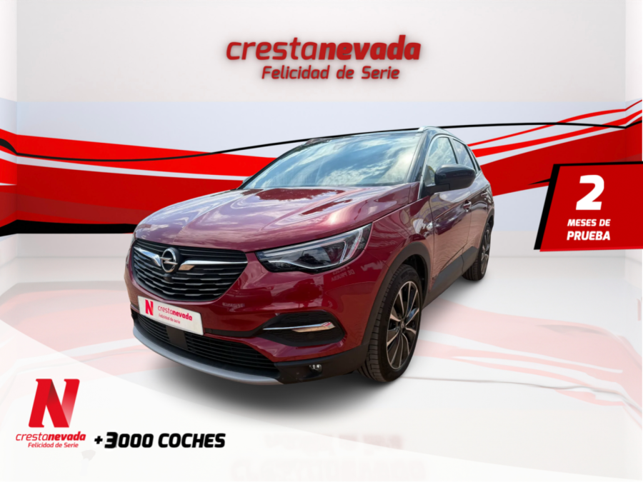 Imagen de Opel Grandland X