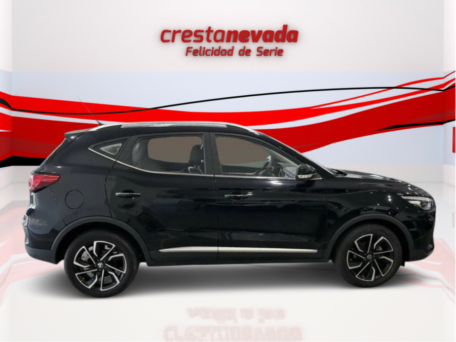 Imagen de Mg ZS