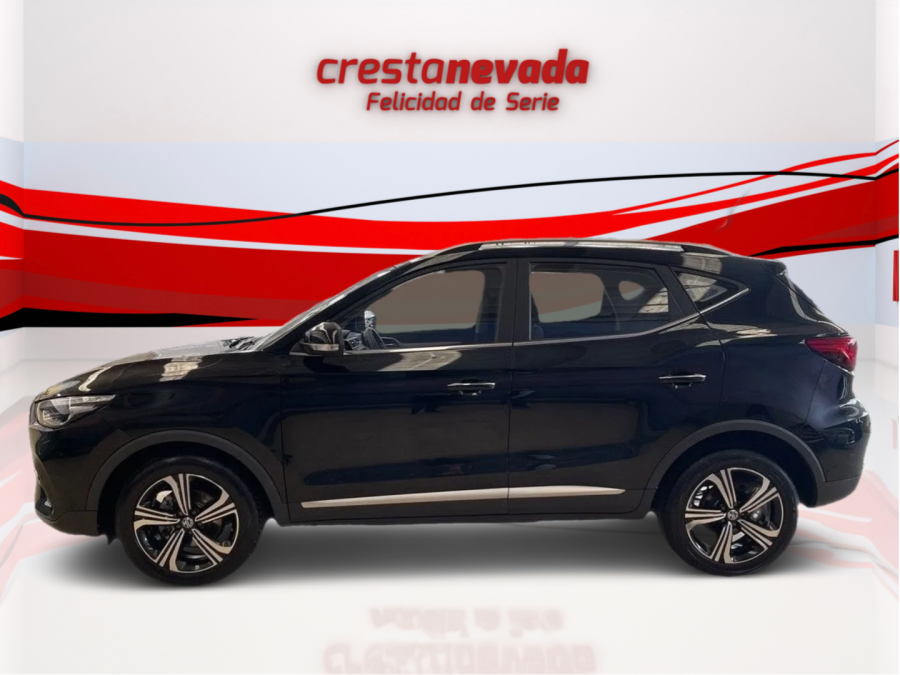 Imagen de Mg ZS
