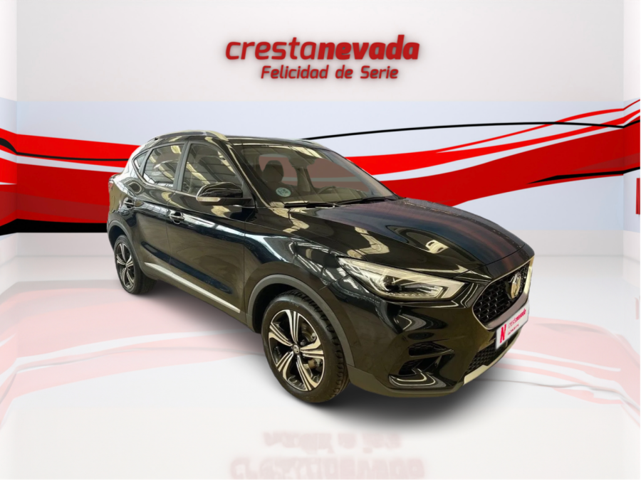 Imagen de Mg ZS