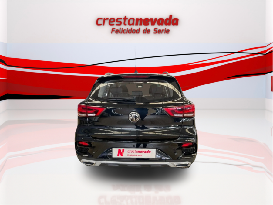 Imagen de Mg ZS