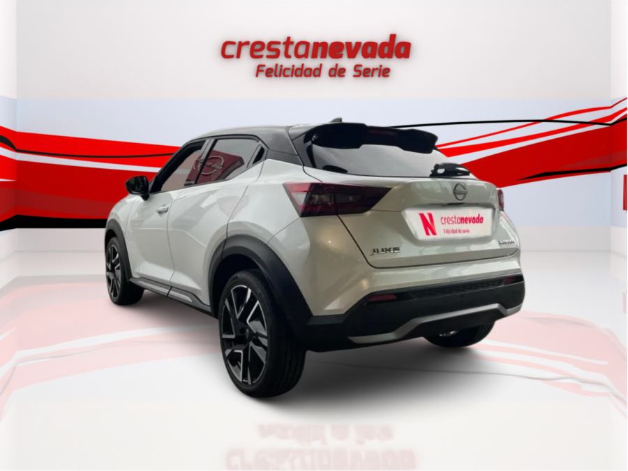 Imagen de NISSAN JUKE