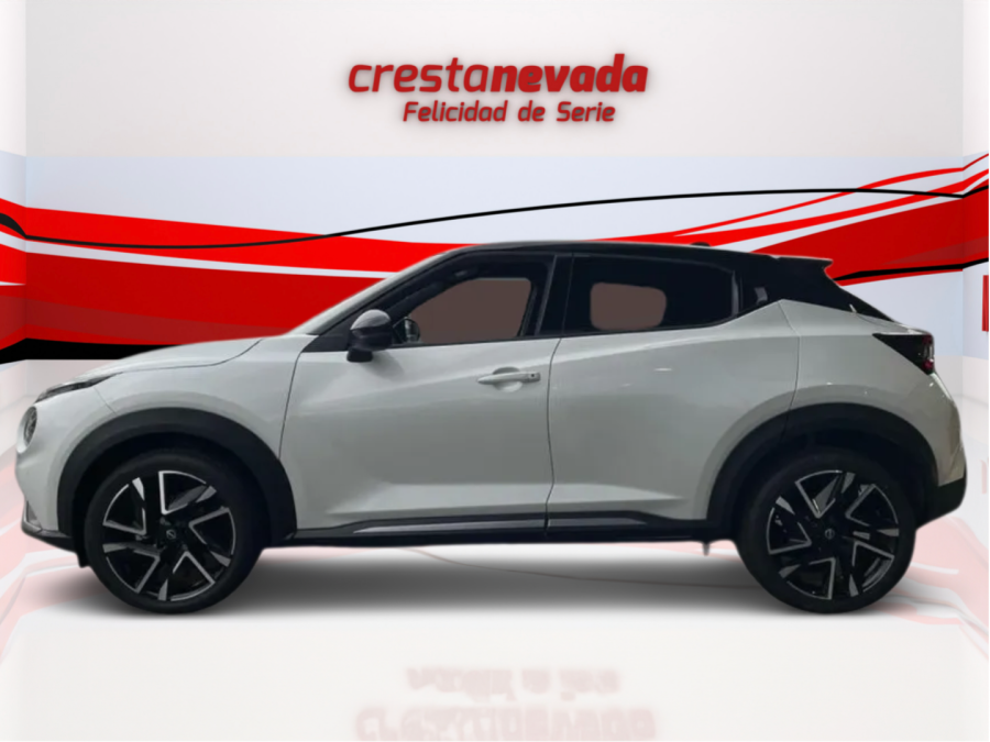 Imagen de NISSAN JUKE