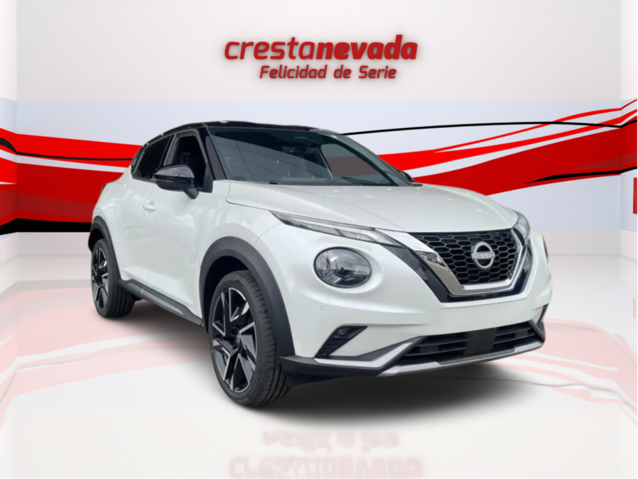 Imagen de NISSAN JUKE
