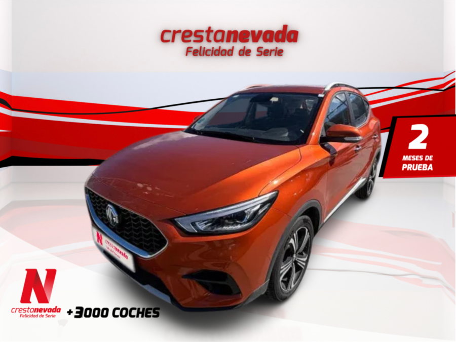 Imagen de Mg ZS