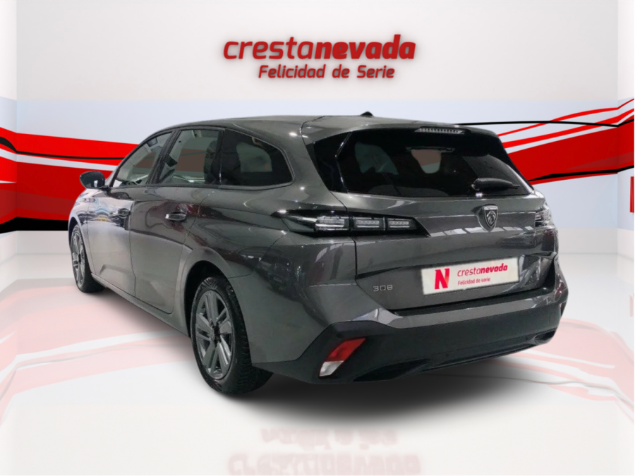 Imagen de Peugeot 308