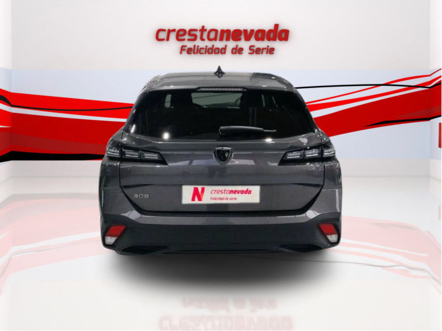 Imagen de Peugeot 308