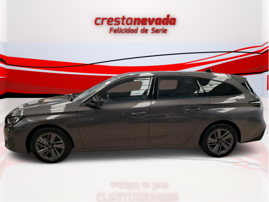 Imagen de Peugeot 308